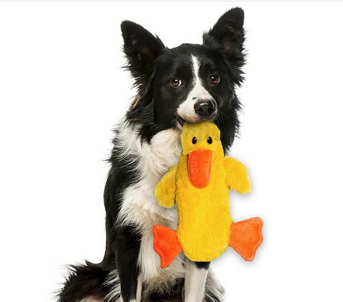 FGA MARKETPLACE Duck Flat NO Stuffing NO Squeak Plush Dog Toy, 21 inch - 第 11/14 張圖片