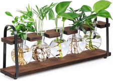 Plant Propagation Stations with Wooden Stand Desktop Retro Plant Terrarium...