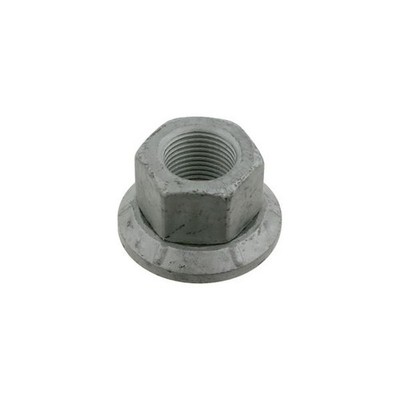 1X RADMUTTER HINTEN/VORNE M18X1 5 X24 25MM PASST ZU: MAN FOC G G90 L2000 M
