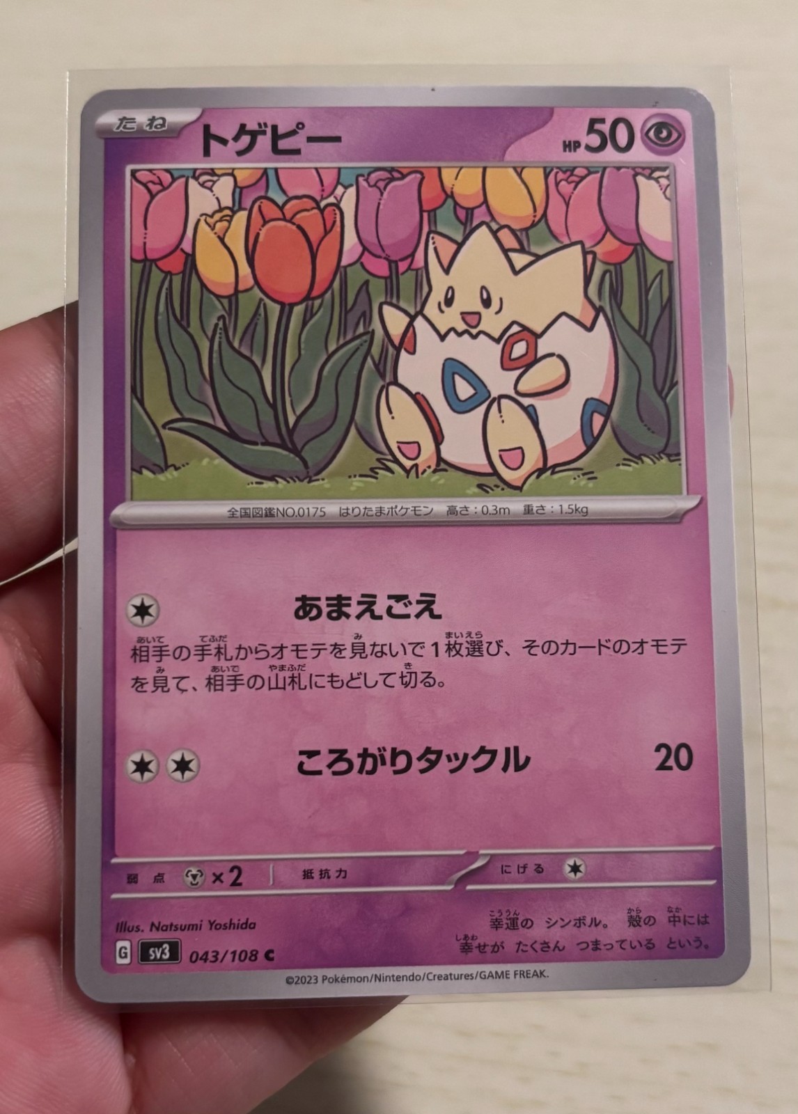 Ruler of the Black Flame and SV 151 Korean Pokémon Cards
