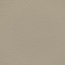 Nissan Medium Sand Leather Dye