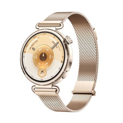 HUAWEI WATCH GT6 Smartwatch 64GB 64MB 1.32'' OLED Smartwatch Gold 41mm GPS NFC