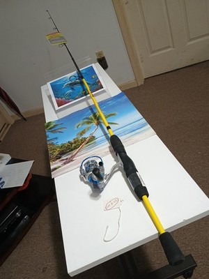 spinning fishing rod Lew's 5'6'' Light 2-8lb And Reel Quantum Glacier 