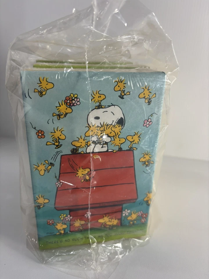 De colección Springbok Peanuts Snoopy & Woodstock 100 piezas PZL4721 Sellado Nuevo Lote de 3 Foto 2 de 4