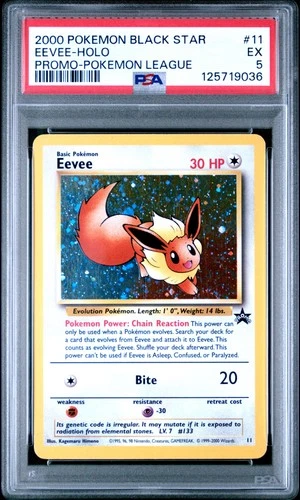2000 POKEMON PROMO BLACK STAR POKEMON LEAGUE #11 EEVEE-HOLO PSA 5