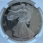 1995-P American Eagle Proof (1oz Silver) - NGC - PF70 Ultra Cameo