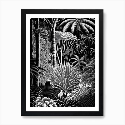 Jardin Exotique De Monaco, 1, Monac Framed Wall Art Poster Canvas Print Picture