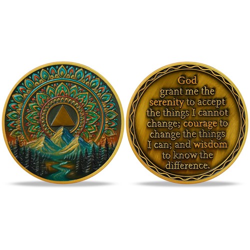 12 Years Sobriety Chips Alcoholics Anonymous Medallion Twelve Year Sobriety Coin - Picture 8 of 16