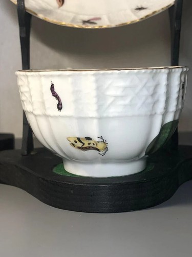Meissen Porcelain Fruit, & Bugs Tea Cup & Saucer 1740 - Picture 12 of 18