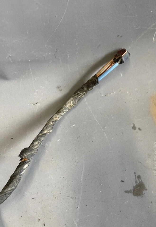 Chevy Impala Kingswood 1969 1970 camioneta luz trasera lam arnés de cableado Foto 4 de 4