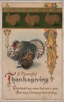Antique Postcard A Peaceful Thanksgiving Turkey And Corn 1910