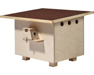 Insekten Haus dobar 5100 x 4300 mm holz rot