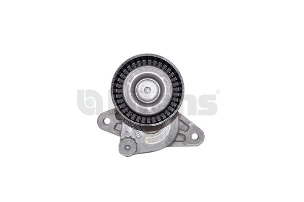 Litens Riemenspanner Keilrippenriemen 950122 FüR Mercedes Klasse W220 V220 W463-image