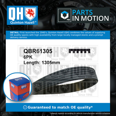 6 Rib Multi V Drive Belt fits FORD FOCUS C-MAX 2.0 04 to 07 QH 1731697 Quality