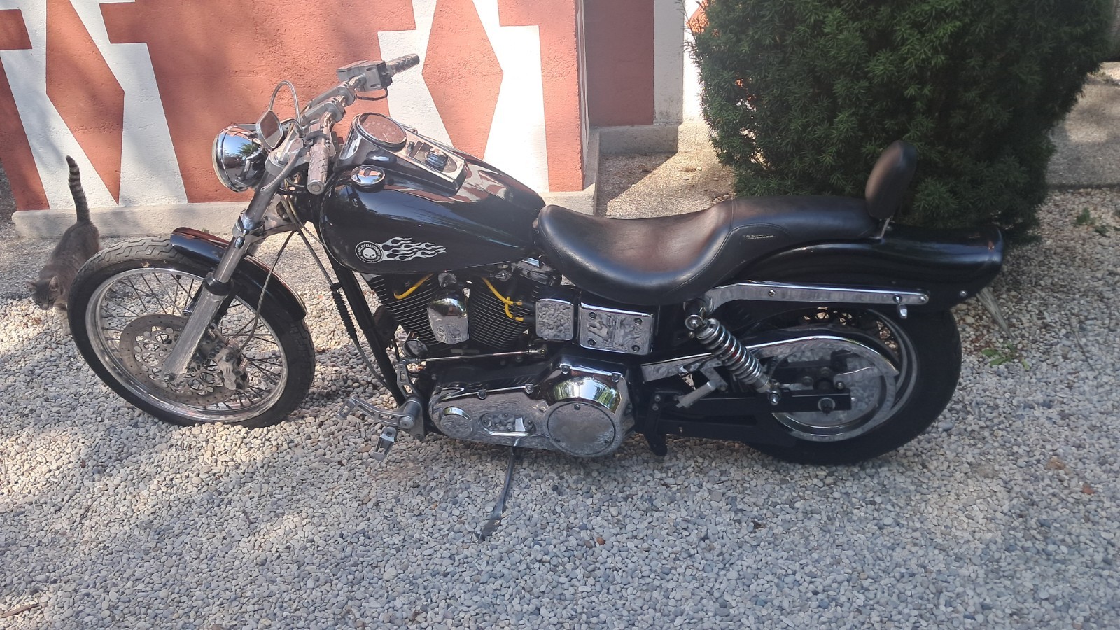 Harley Davidson