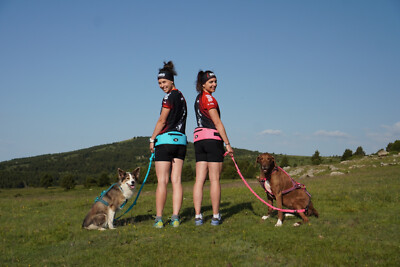I-DOG Hüftgurt Canicross ONE | mit Karabiner Zughundesport