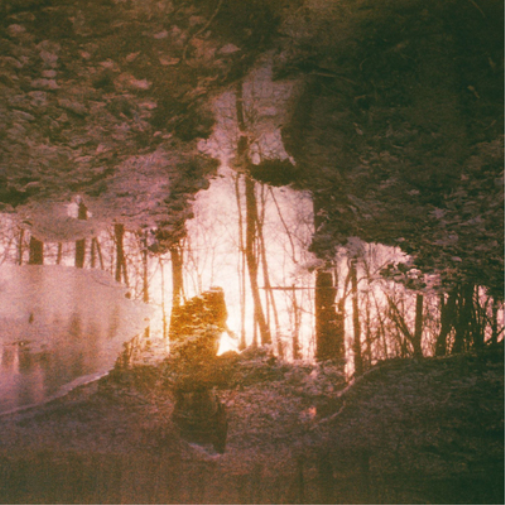 Wren Auburn Rule (CD) Album