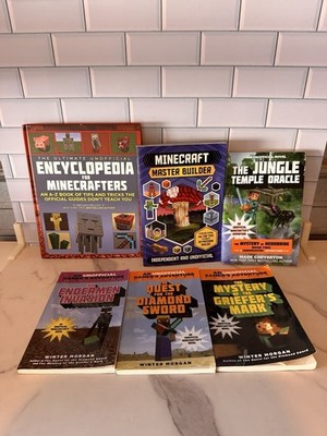 Lot of 6 Minecraft Mixed Book Lot (147)