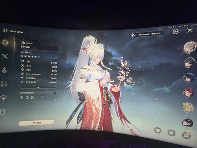 C4 hiyuki Op Build Max Lvl Until UL Wuthering Waves Account