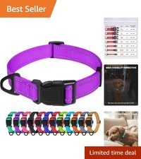 Adjustable Reflective Nylon Dog Collar for Small Dogs - Safety  Style in Purple