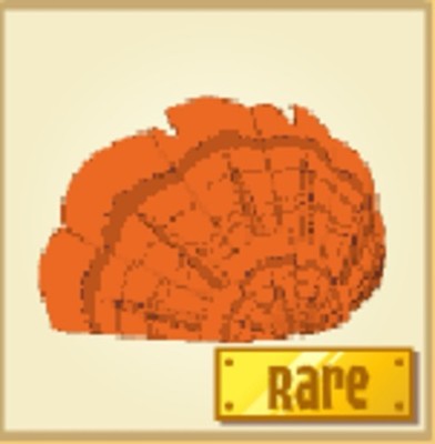 Animal Jam Classic Rare Bright Orange Turkey Feathers (Contest Item)