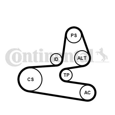 Kit cinghia trapezoidale multirighe con rullo tenditore 6PK1564K1 per CITROËN