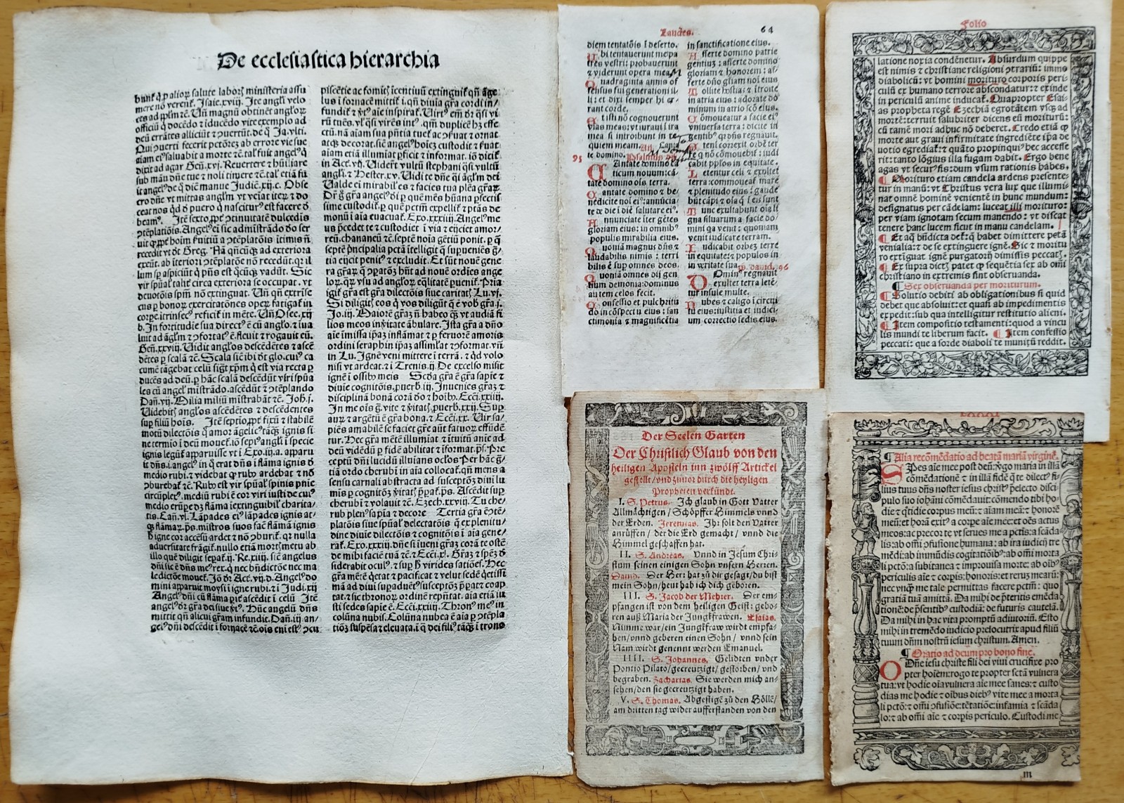 7 Early Printed Post Incunable Leaves (C) - 1495/1550