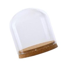 Cover Cloche Bell Jar Succulent Terrarium
