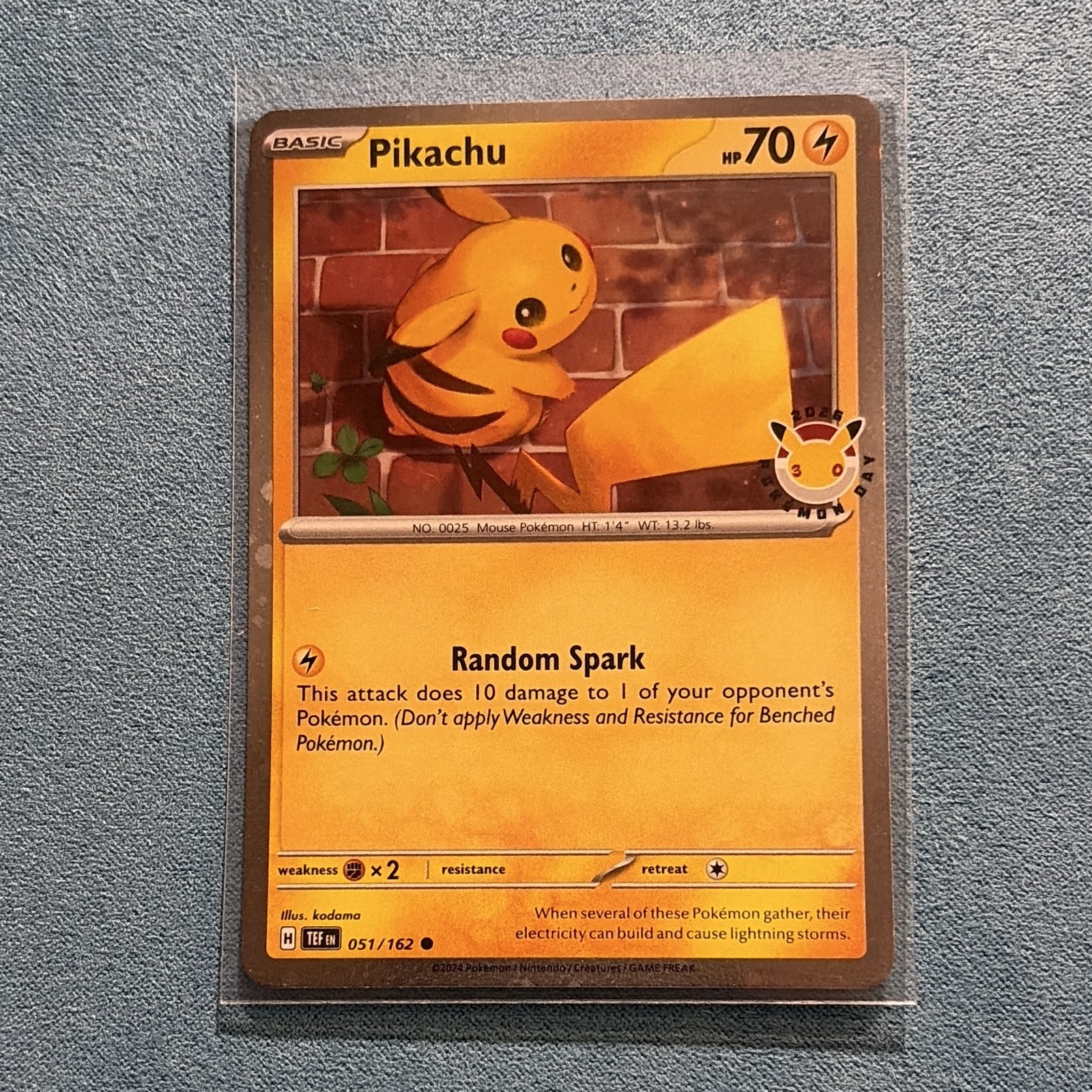 The Pokémon Company Pikachu 051/162 Promo Holo Basic 70HP English