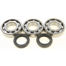 All Balls Crankshaft Bearing/Seal Kit 24-1092