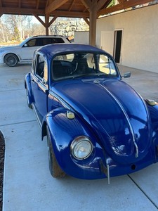 1969 Volkswagen Beetle - Classic 