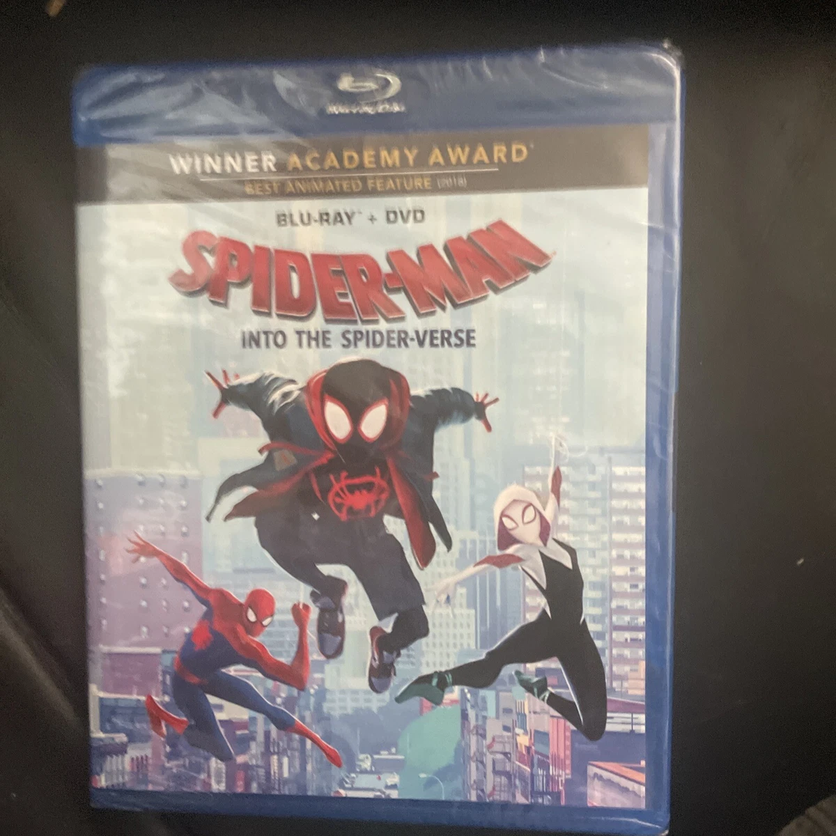 Spider-Man: Into the Spider-Verse (DVD)