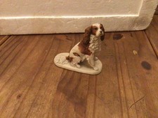 Border Fine Arts King Charles Spaniel By E MacAllister 