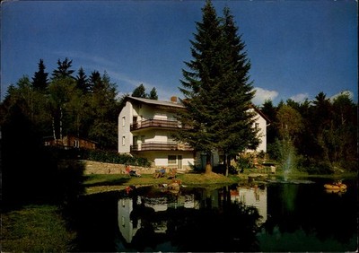 Haus am Wald Andr Reichenberger Flecki im Fichtelgebirge vintage postcard p561