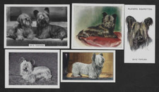 5 Different Vintage SKYE TERRIER Tobacco/Cigarette/Tea Dog Cards Lot