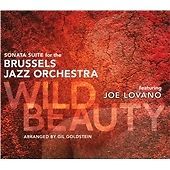 Wild Beauty - Brussels Jazz Orchestra CD FREE P&P