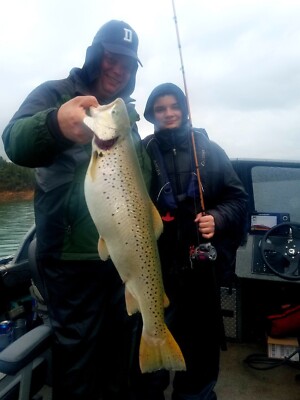 Blue Fox Vibrax Spinners - Fishing Lure $5 $8.99 Delivery ($0 C&amp;C/ In