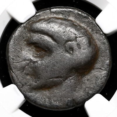 PUNIC SPAIN. 237-209 B.C. Head of Scipio Africanus, Very Rare, NGC