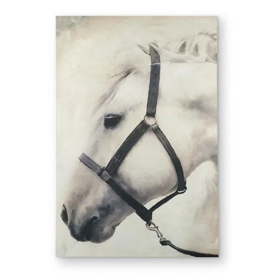 2x3 ft. Darius the White Horse Outdoor Area Rug - Home Decor Accent - Rectangle