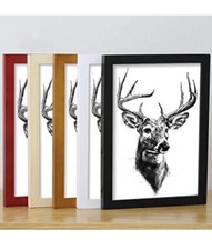 2 - White Picture Frames, 12 X 16 White Photo Frames FREE SHIPPING 