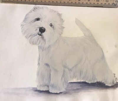Westie Original Watercolor By Jackie Balog 