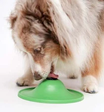 Stashios Soothing Saucer Kit Helps Reduce Dog Stress and Anxiety