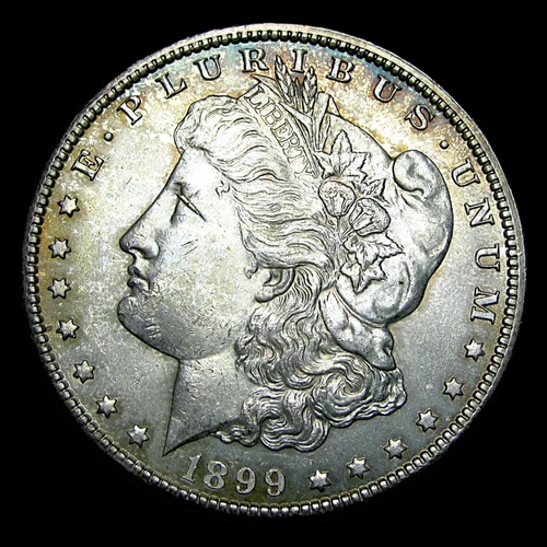 1899-O Morgan Dollar Silver ---- Gem BU Toning Stunning Coin ----   #925E