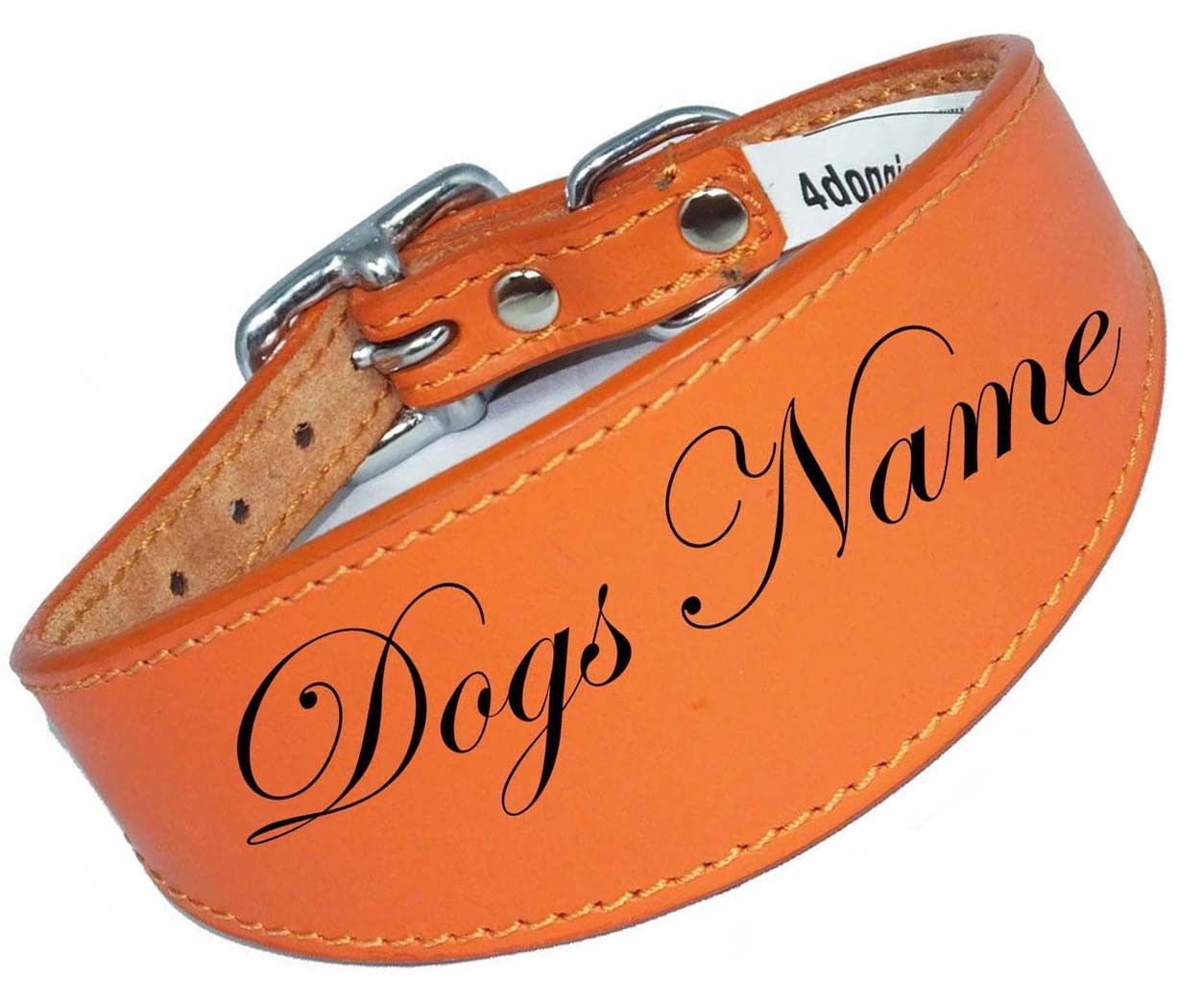 Personalized Greyhound Whippet Collar Leather Dog Collar Padded Backing
