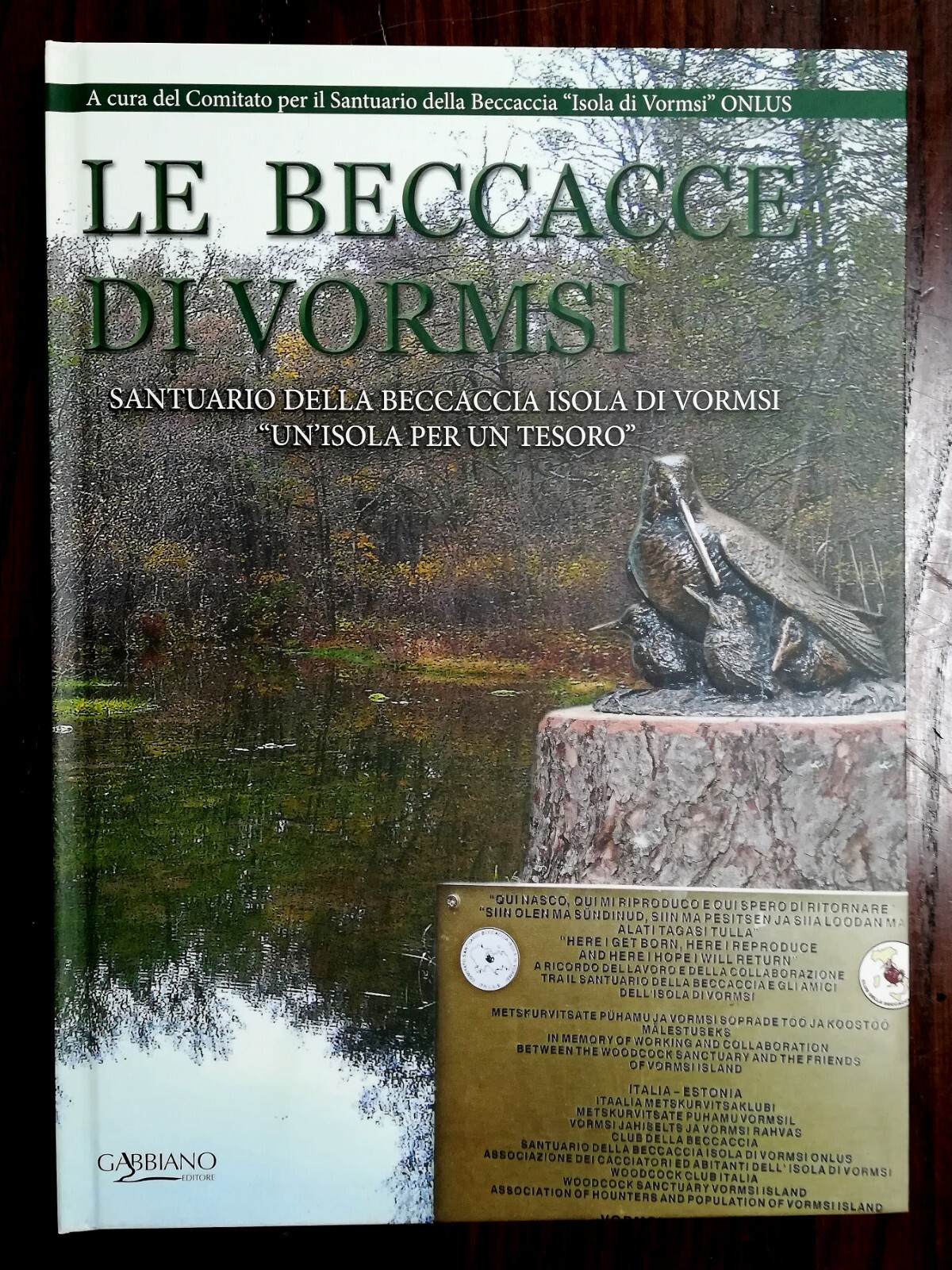 Foto 1 di 10