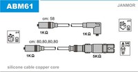 Janmor ZüNdleitungssatz ABM61 FüR 1E7 VW 3B2 3A2 Golf 3B5 35I Passat 1H1 3A5 B3