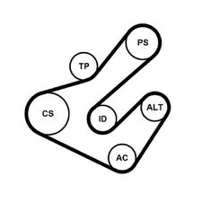 Keilrippenriemensatz für Renault Laguna DT0/1 2 BG0/1 KG0/1 3 BT0/1 | 24182983