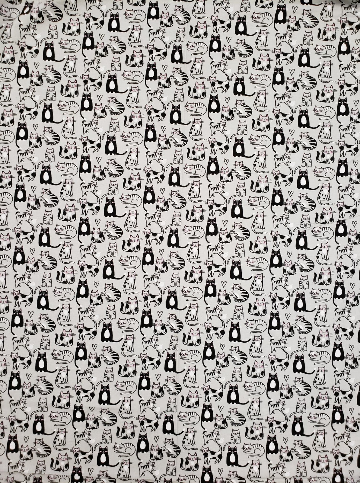 Picture 3 of 11
