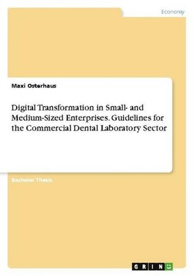 Digital Transformation in Small- and Medium-Sized Enterprises. Guidelines for th