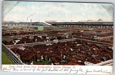 Postcard BUSINESS ACTIVITY SCENE Chicago Illinois IL m/09 AM7409